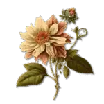 flor vintagem - Revisarte - revistas digitais interativas oersonalizadas