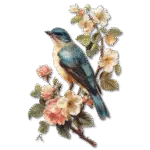 pajaro - Revisarte - revistas digitais interativas oersonalizadas